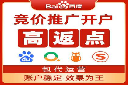 SEM广告案例：数据分析驱动营销决策